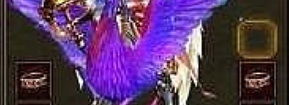 �����ʵ�������ʦ�ܿ��ܽ���