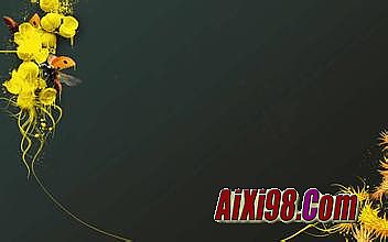 热血战歌涅槃装备